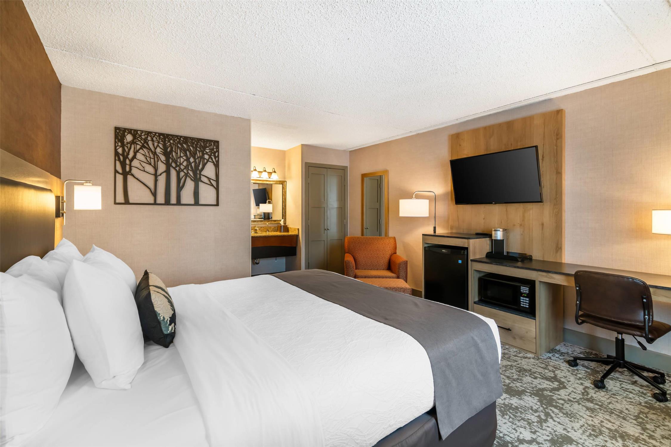 Guest room with king bed(s)