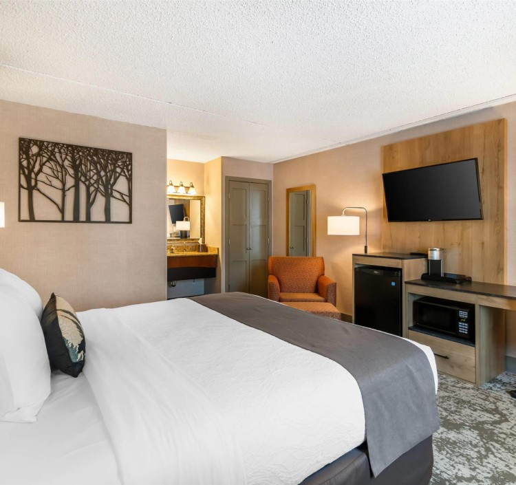 Guest room with king bed(s)