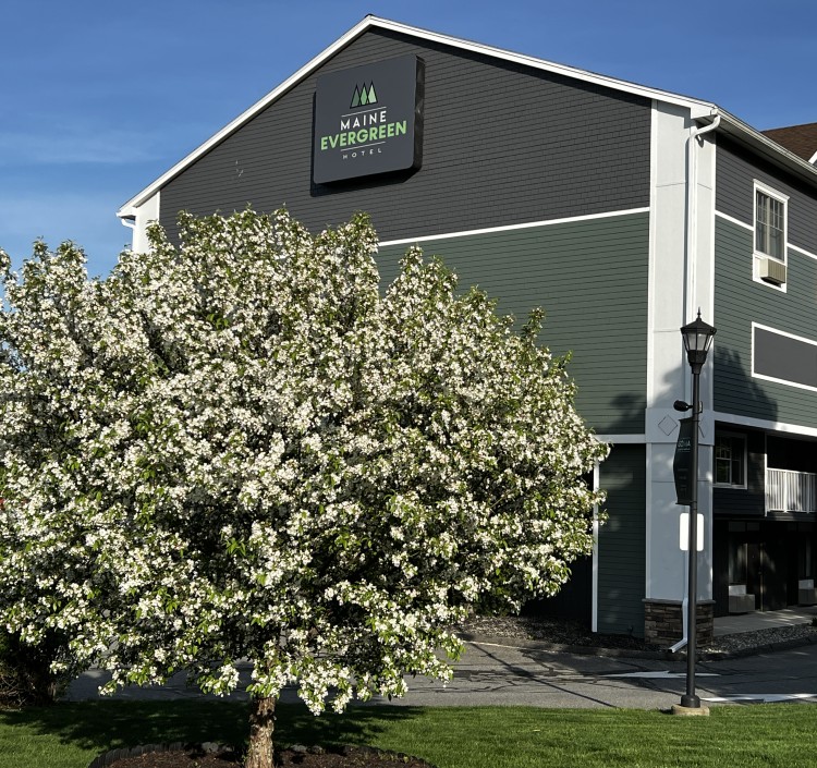 a tree in front of a building