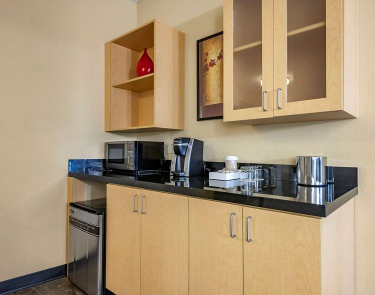 Well-equipped suite