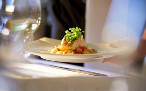 a person holding a plate of food