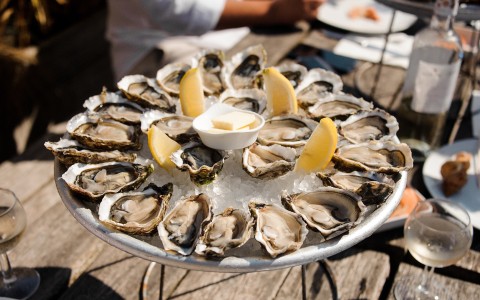 a plate of oysters with lemon slices on it