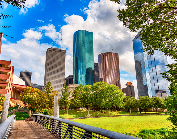 view of skyscrapers and trees in daytime