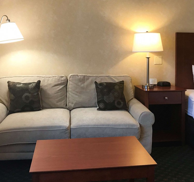 pullout sofa and table in guest room