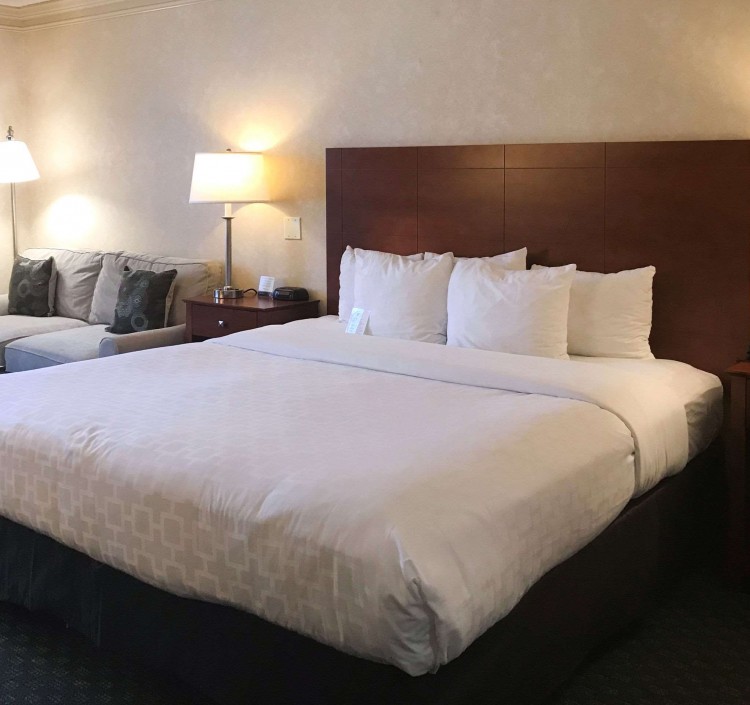 king bed and sofa in guest room