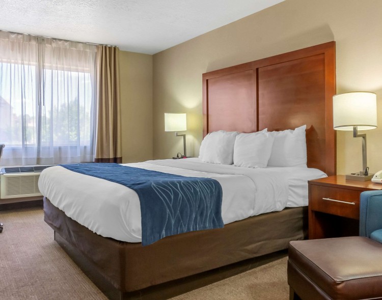 Guest room with king bed and wooden headboard