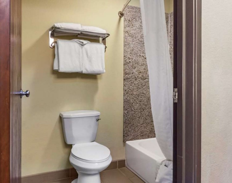 Guest room toilet and bathtub