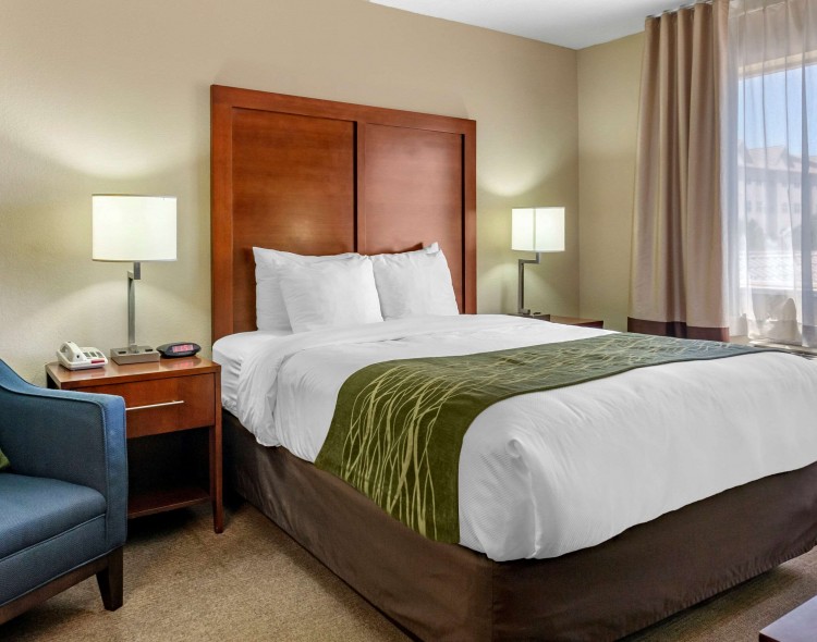 Guest room with green throw blanket