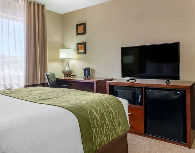 Guest room with flat screen tv and green throw blanket