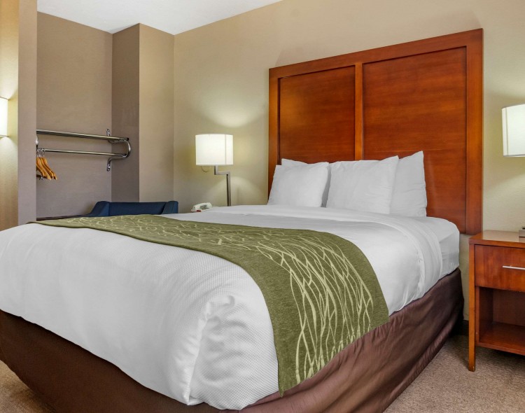 Guest room with green throw blanket on bed