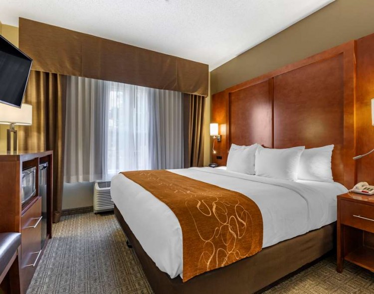 a guest suite with a king bed