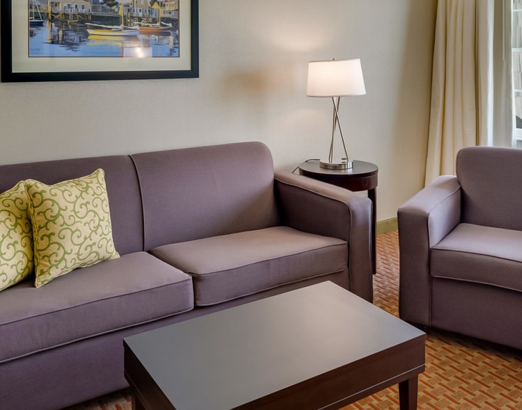 view of a living room with purple sofa