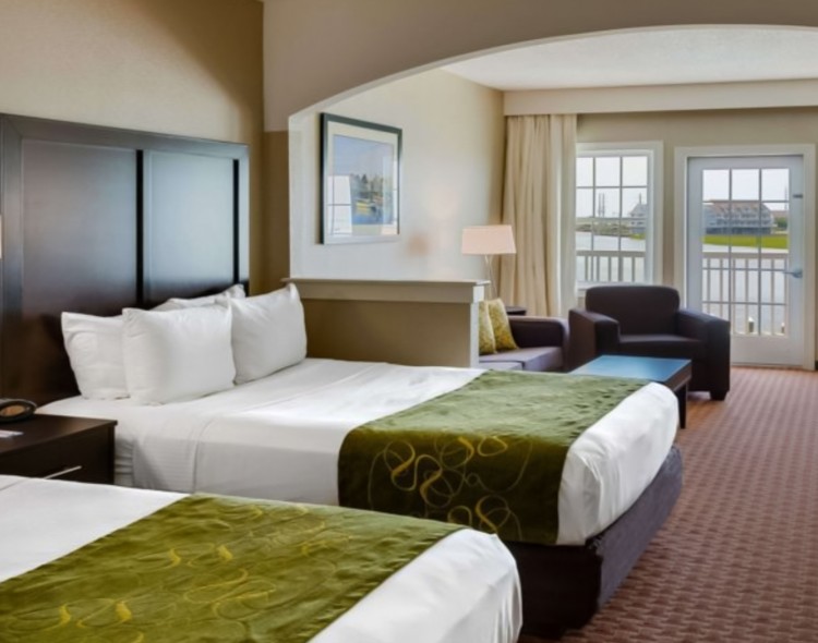 two queen beds in green and pale accents