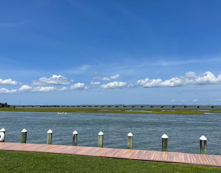 lake view and a wooden path