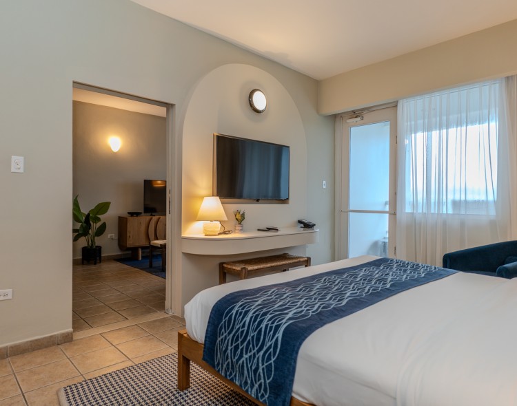 a bedroom with a tv and a bed