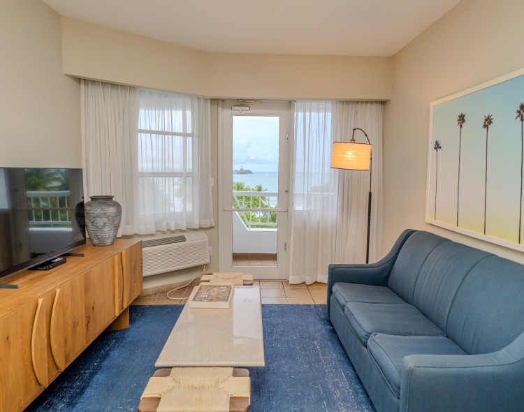 a living room with a couch and a television