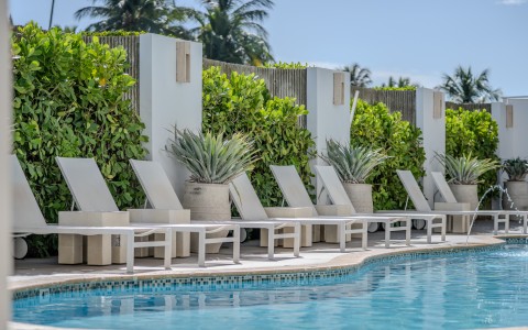 a pool with lounge chairs and plants
