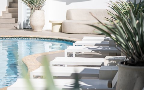 a pool with lounge chairs and plants