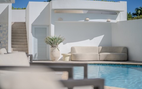 a pool with a couch and a plant in it