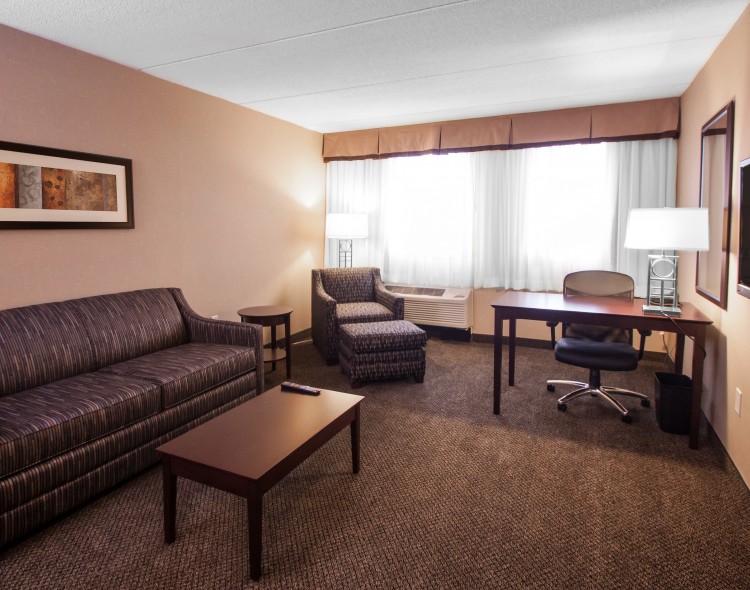 one bedroom king suite living