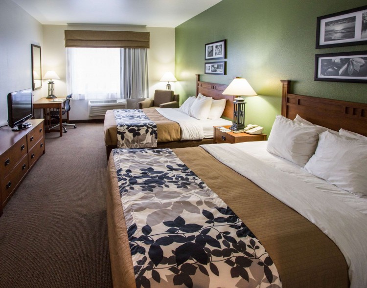 Guest room with two beds and green walls