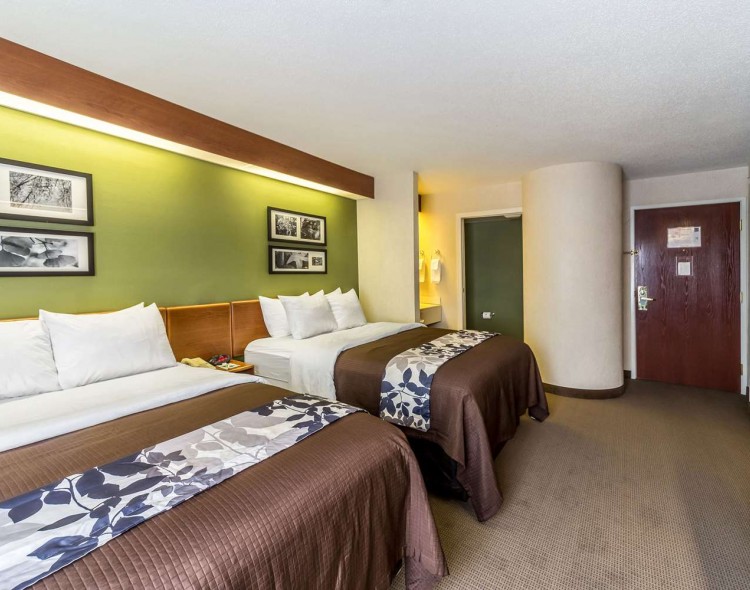 2 queen beds with images above each bed