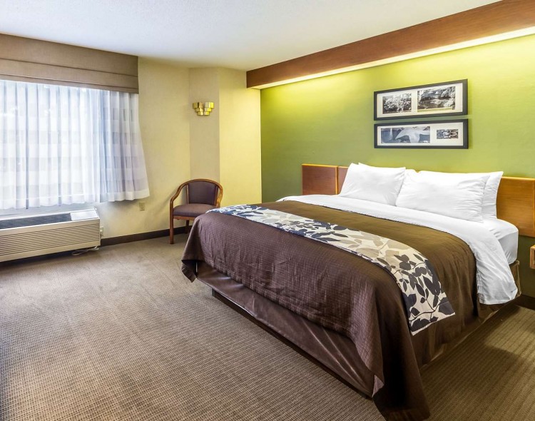 king bed with 2 long images above bed on green wall and chair next to bed