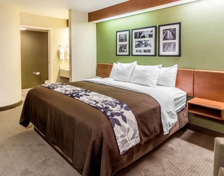 king bed with flower bedrunner and images on green wall