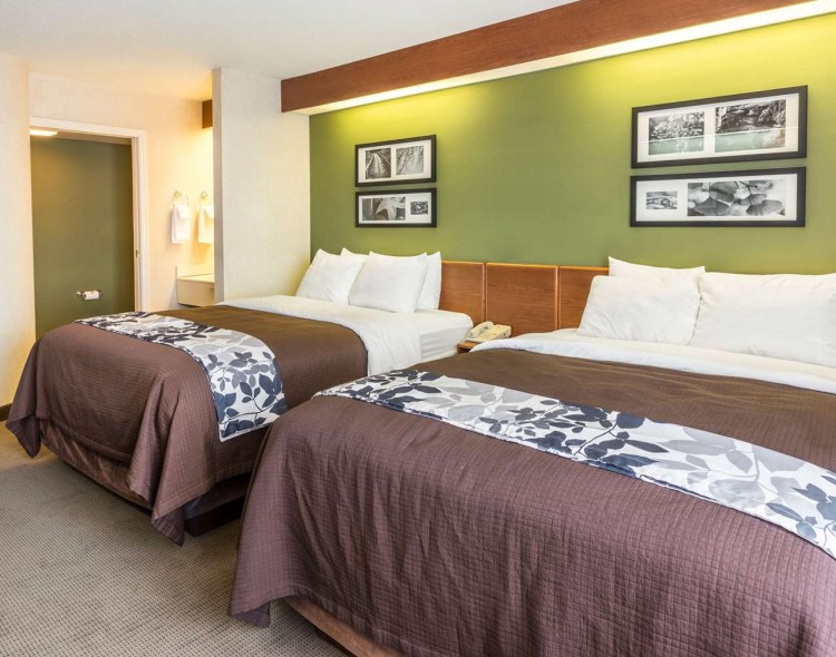 2 beds with images above each and a green wall