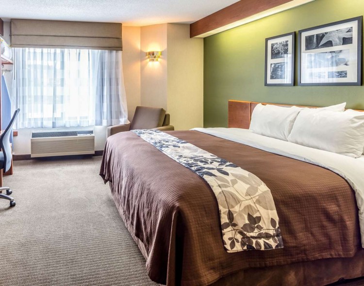 king bed with brown comforter and images above bed