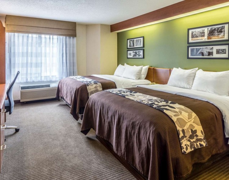 2 queen beds with brown bedding and green walls with images on it