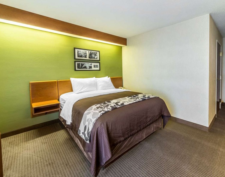 king bed with images on green wall behind bed