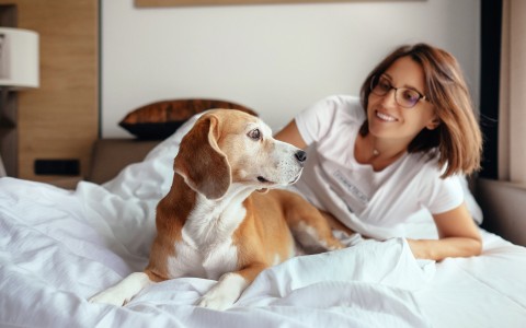 woman and dog on white bed