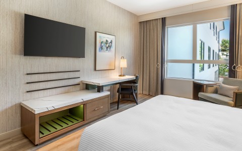 a room with a bed and a desk and a television