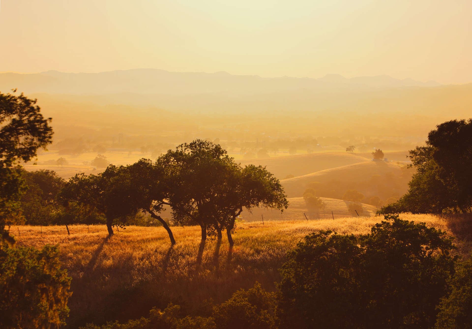 a landscape with trees and hills