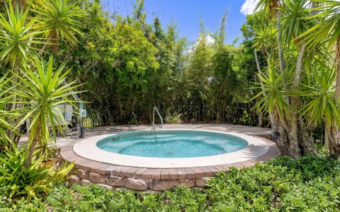 a small pool surrounded by trees
