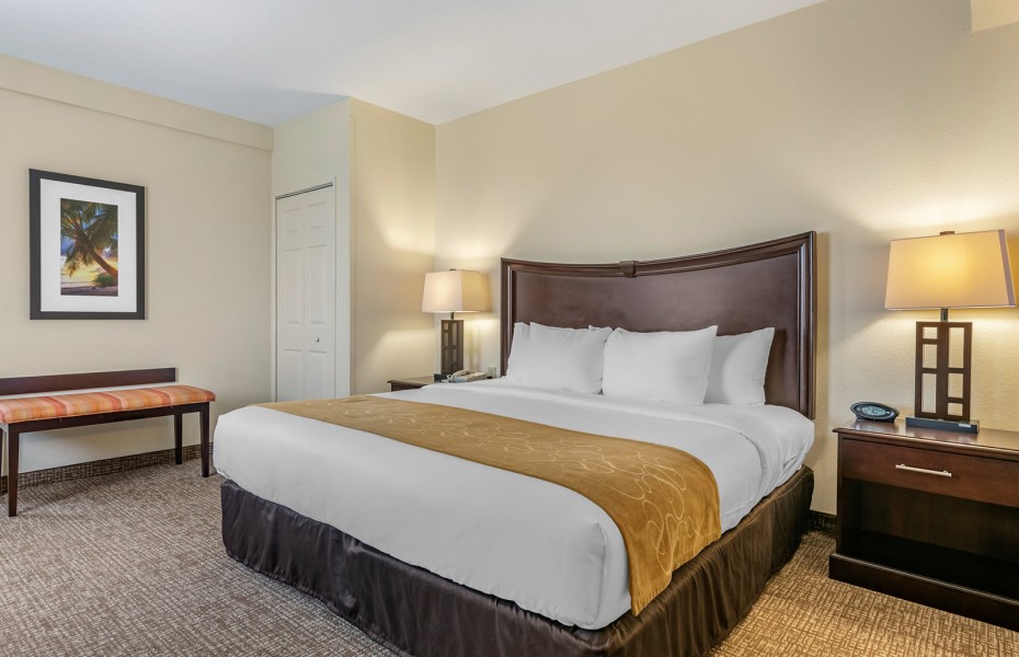 king bed with gold bedrunner