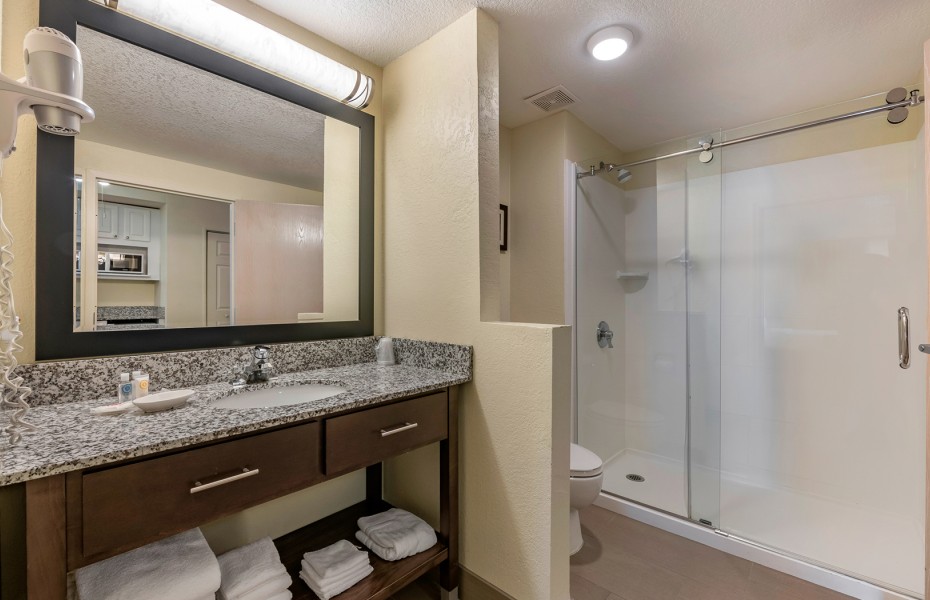 bathroom sink with roll in shower