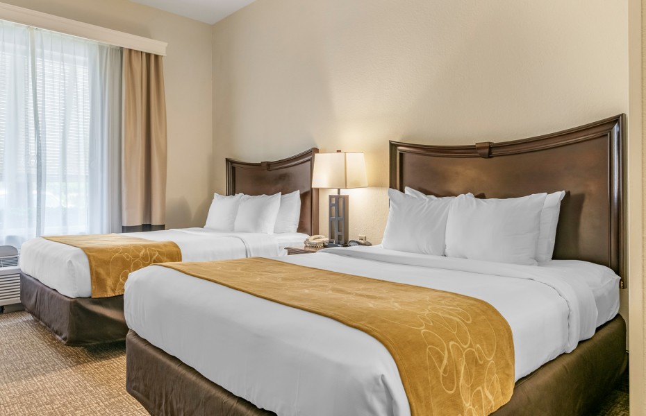 double queen beds with gold bedrunners