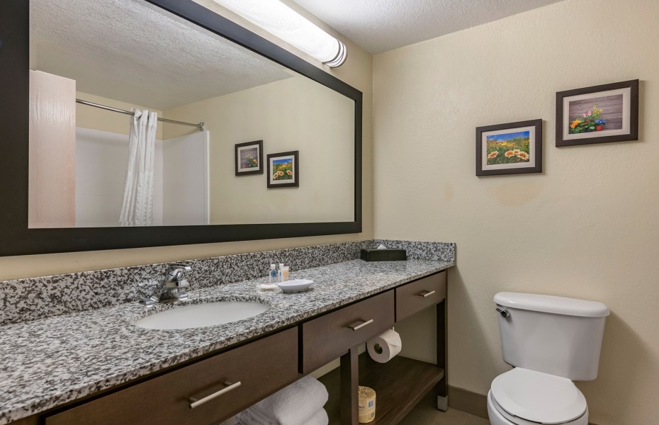 granite bathroom counter with paintings above toilet