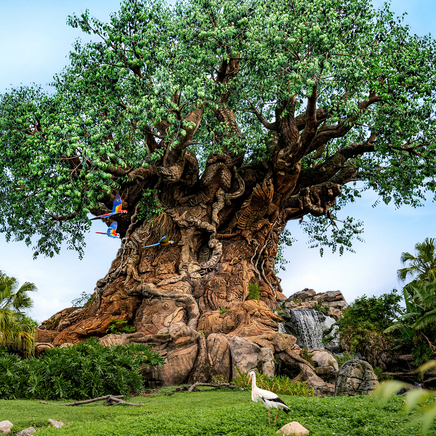 a large tree with many branches and leaves with Disney's Animal Kingdom in the background