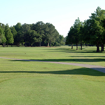 view of a clean and empty park 