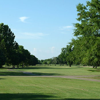 natural park and a clear sky 