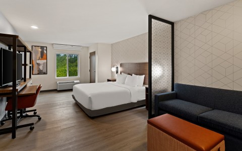 a room with a bed and a couch