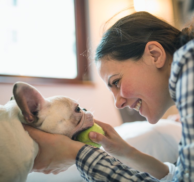 a woman playing with a dog