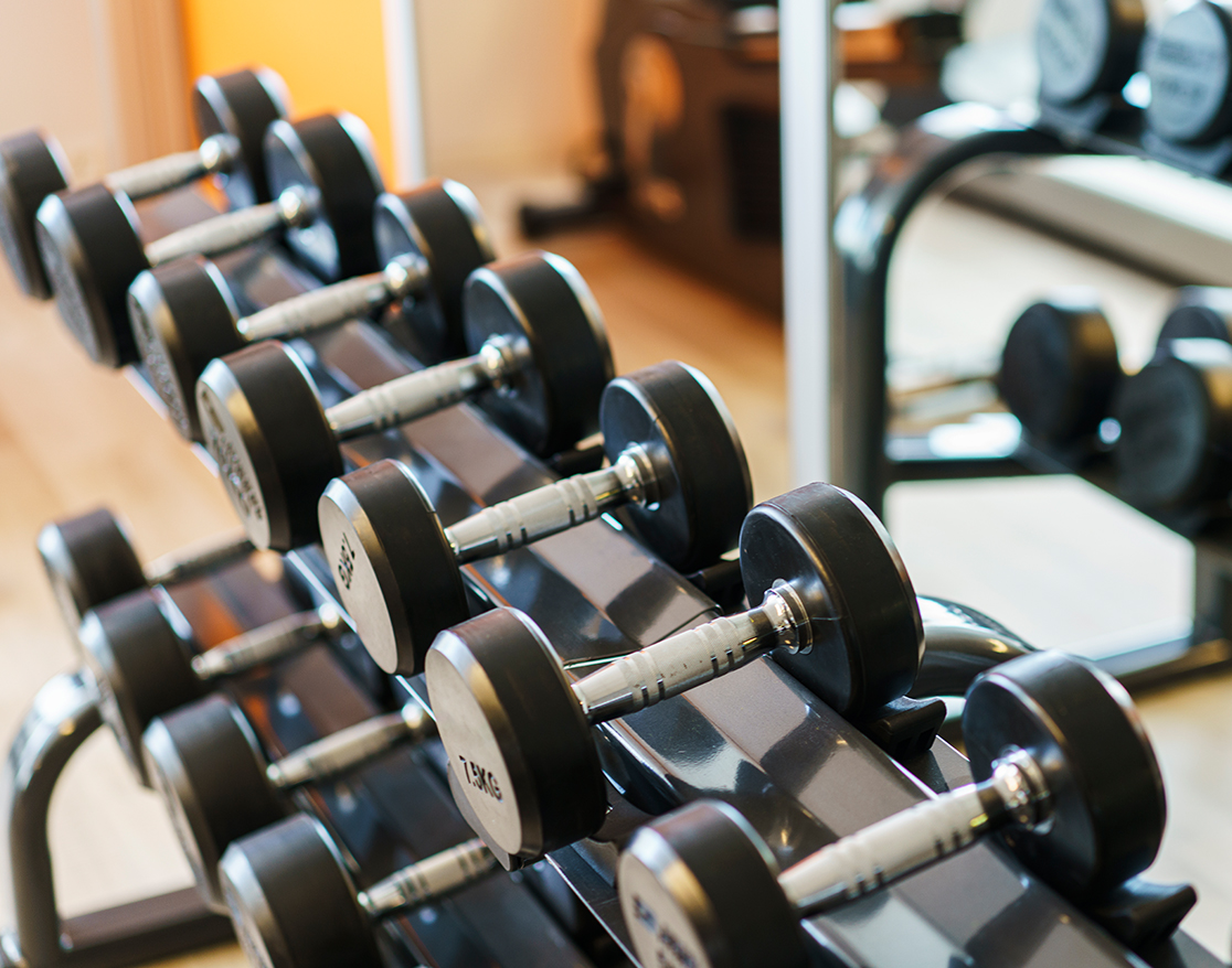 a row of dumbbells on a rack